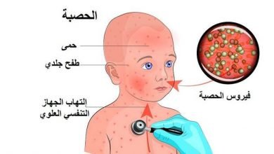 المساحات الخضراء
